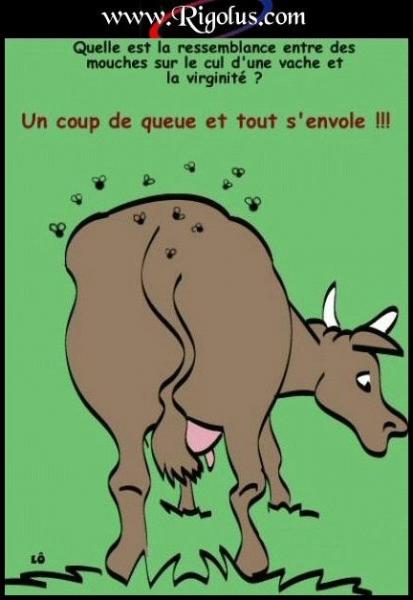 Une petites blague